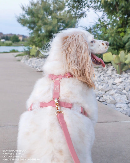 SUNNY TAILS - Wasserdichtes Hundegeschirr - Perfect Pink - OSSO BLU