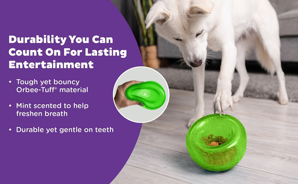 PLANET DOG - Snoop – Interaktives Spielzeug (Grün, 12,5 cm) - OSSO BLU