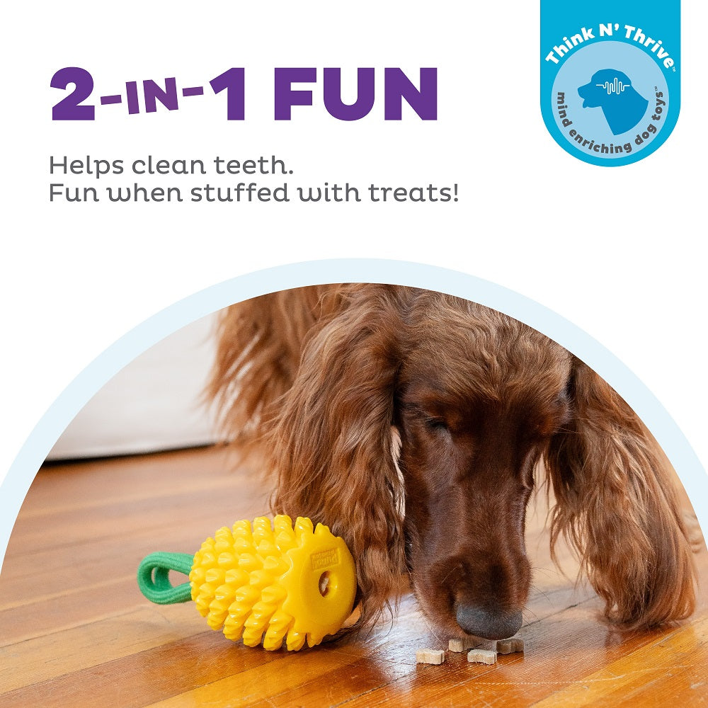 PLANET DOG - Dental Ananas - Beschäftigungs- & Dentalspielzeug für Hunde - OSSO BLU
