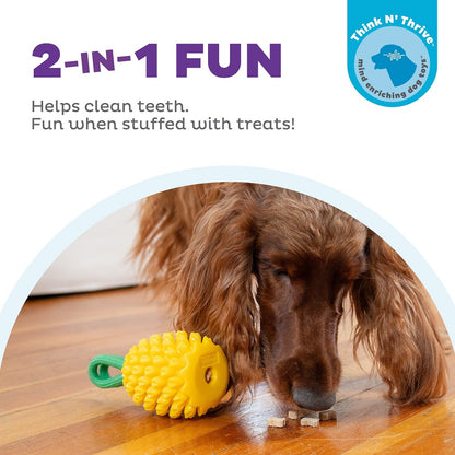 PLANET DOG - Dental Ananas - Beschäftigungs- & Dentalspielzeug für Hunde - OSSO BLU