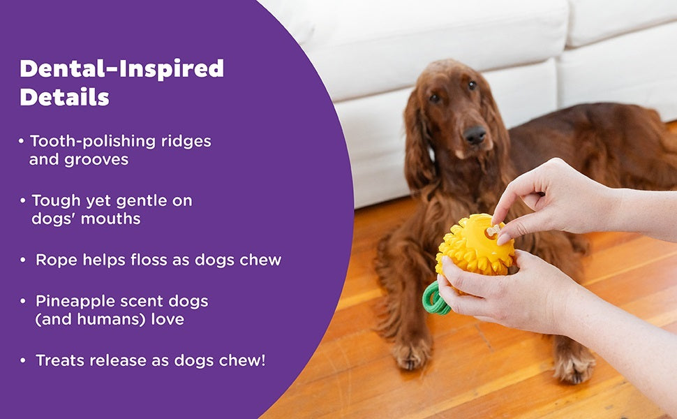 PLANET DOG - Dental Ananas - Beschäftigungs- & Dentalspielzeug für Hunde - OSSO BLU