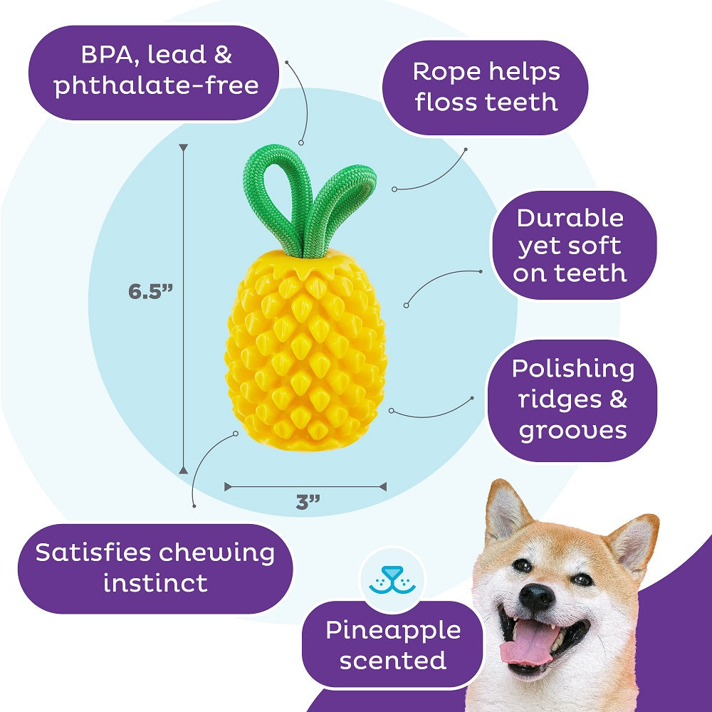 PLANET DOG - Dental Ananas - Beschäftigungs- & Dentalspielzeug für Hunde - OSSO BLU