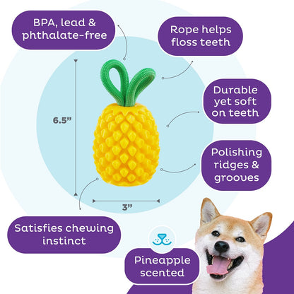 PLANET DOG - Dental Ananas - Beschäftigungs- & Dentalspielzeug für Hunde - OSSO BLU