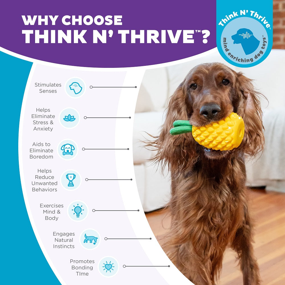 PLANET DOG - Dental Ananas - Beschäftigungs- & Dentalspielzeug für Hunde - OSSO BLU