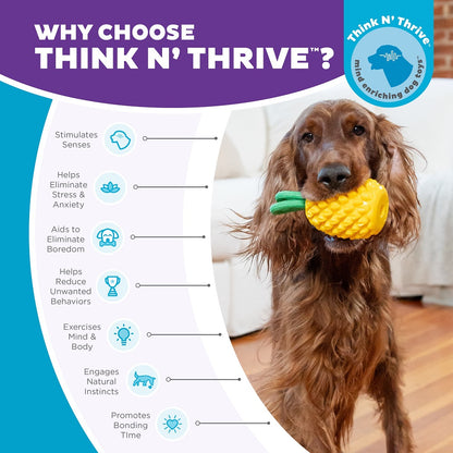 PLANET DOG - Dental Ananas - Beschäftigungs- & Dentalspielzeug für Hunde - OSSO BLU