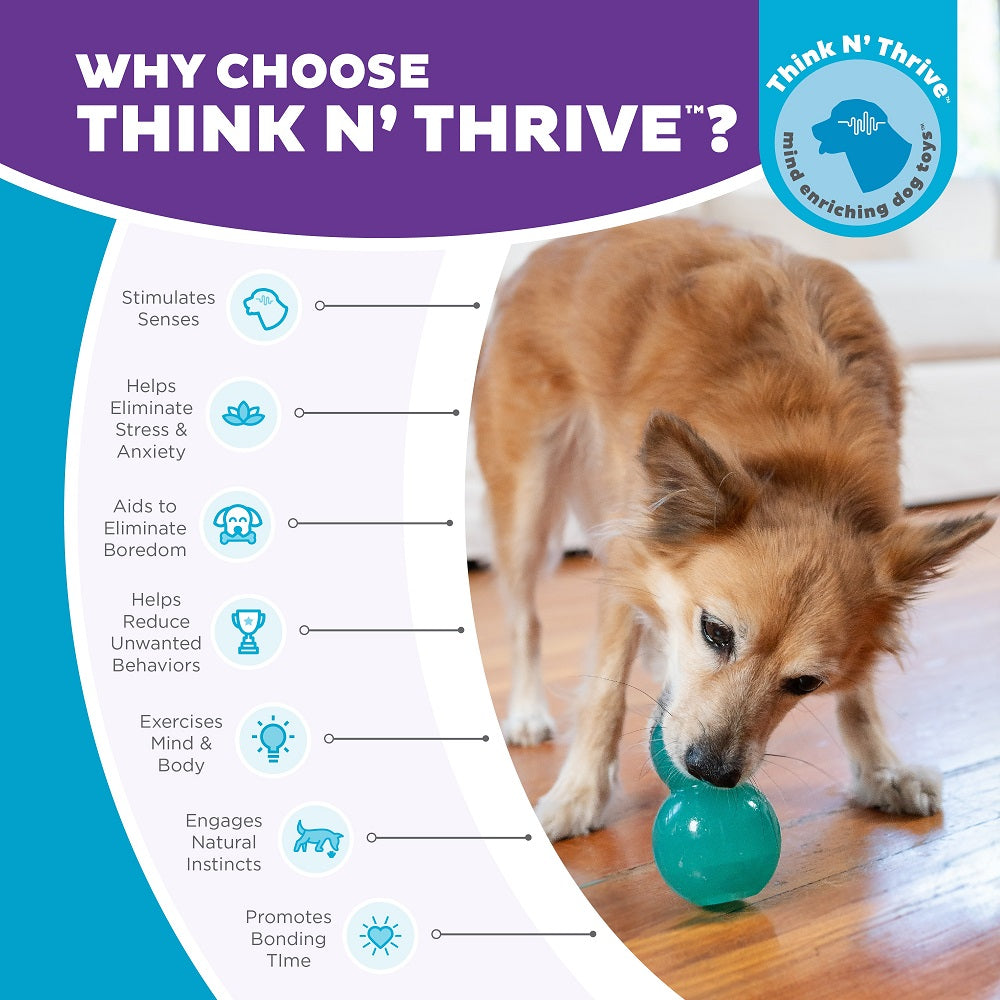 PLANET DOG - Double Tuff – Gioco di attività e snack per cani (taglia M)