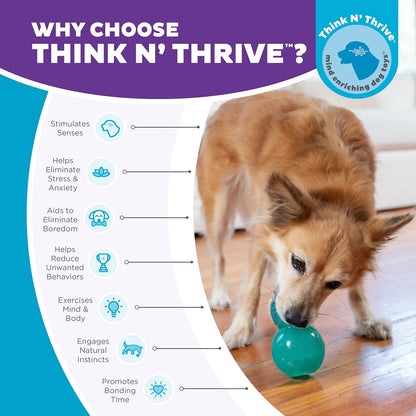 PLANET DOG - Double Tuff – Beschäftigungs- & Snackspielzeug für Hunde (Medium) - OSSO BLU