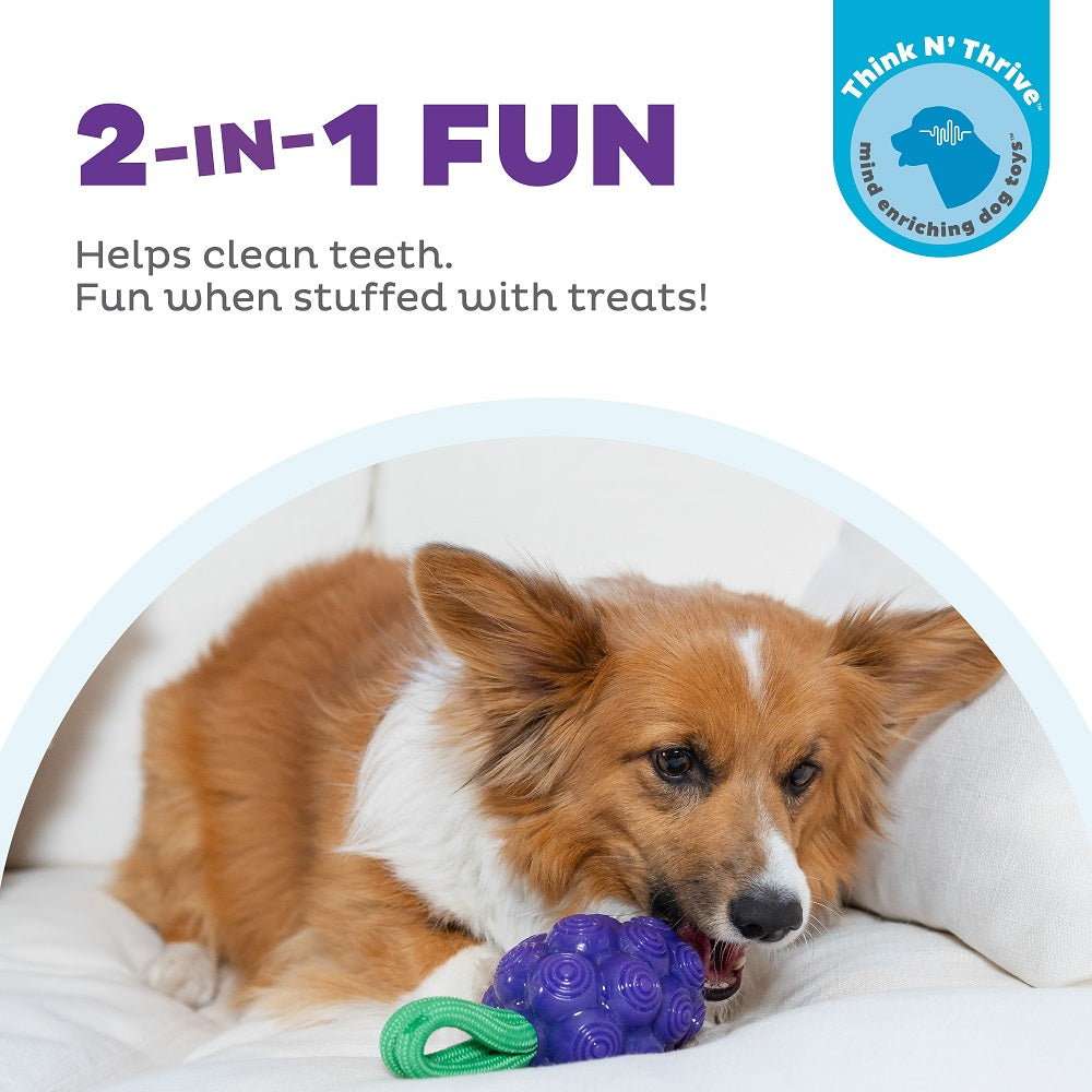 PLANET DOG - Uva Dentale - Gioco interattivo e dentale per cani