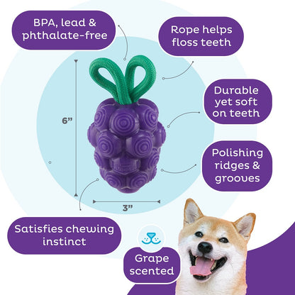 PLANET DOG - Dental Trauben - Beschäftigungs- & Dentalspielzeug für Hunde - OSSO BLU