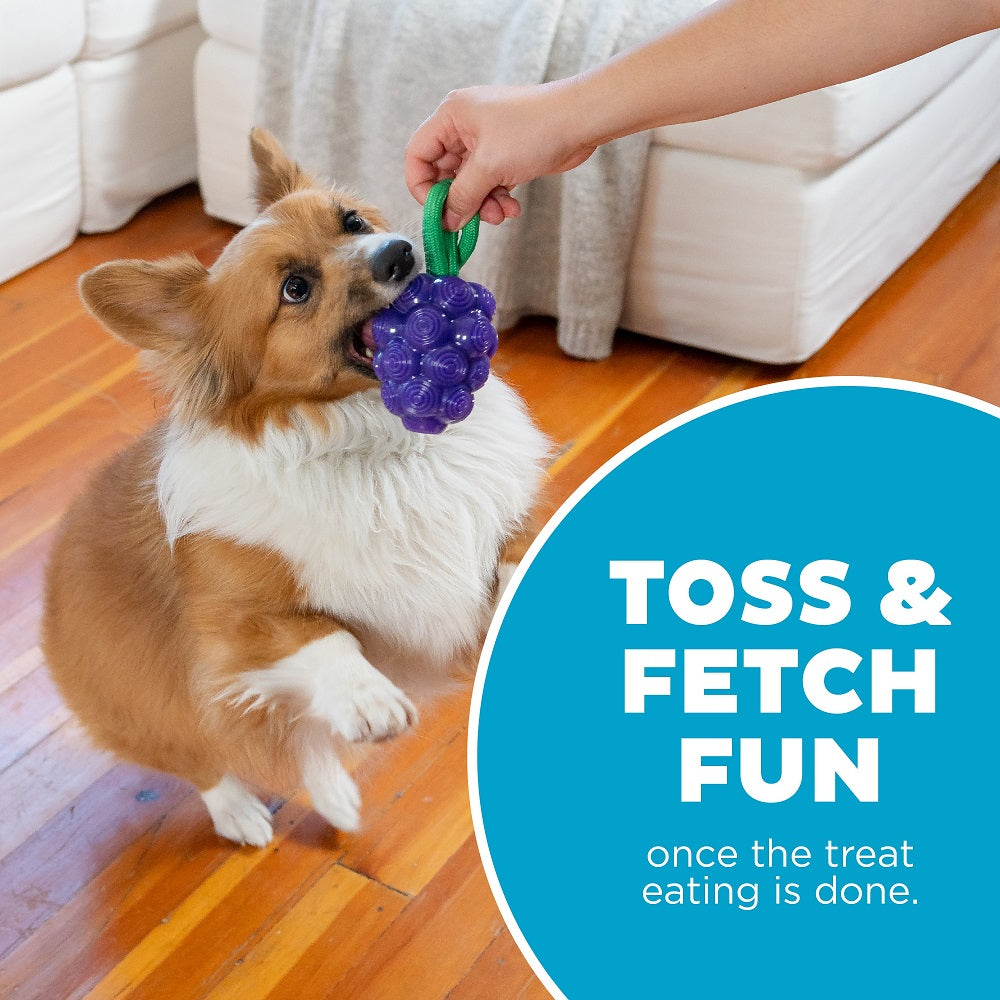 PLANET DOG - Dental Trauben - Beschäftigungs- & Dentalspielzeug für Hunde - OSSO BLU