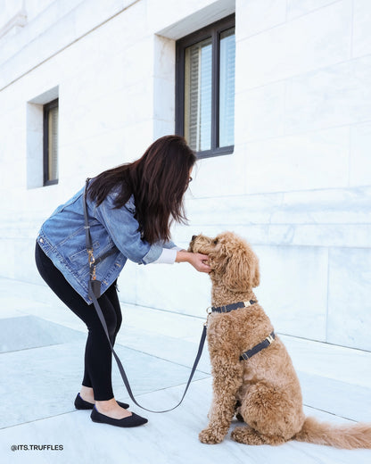 SUNNY TAILS - Ember Black Cloud Lite Dog Harness - OSSO BLU