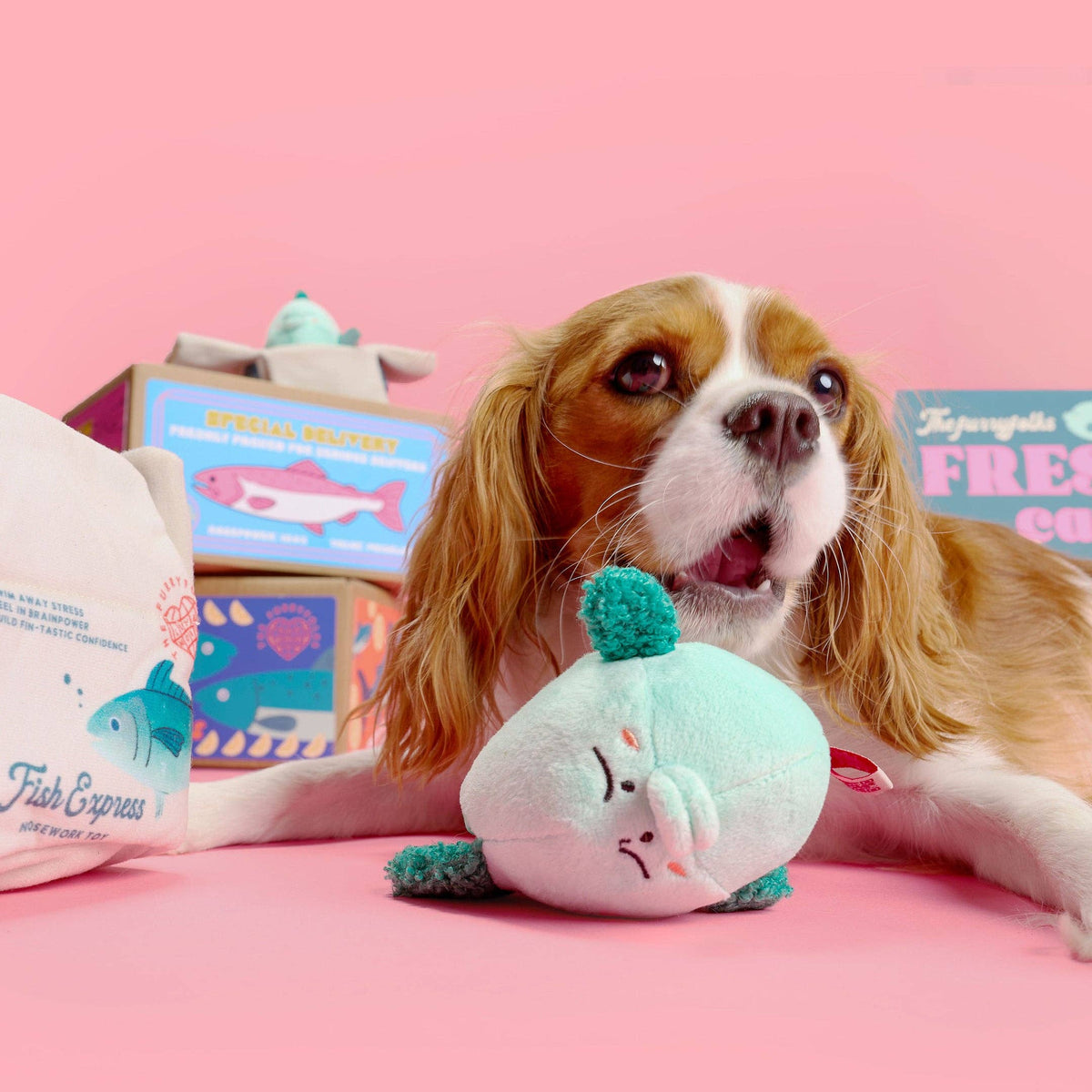 the furryfolks - Fisch Express Nasenarbeit Spielzeug - OSSO BLU
