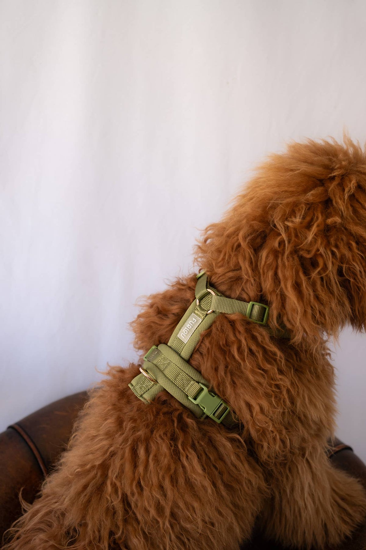 FURLOU – Komfort Hundegeschirr Grün