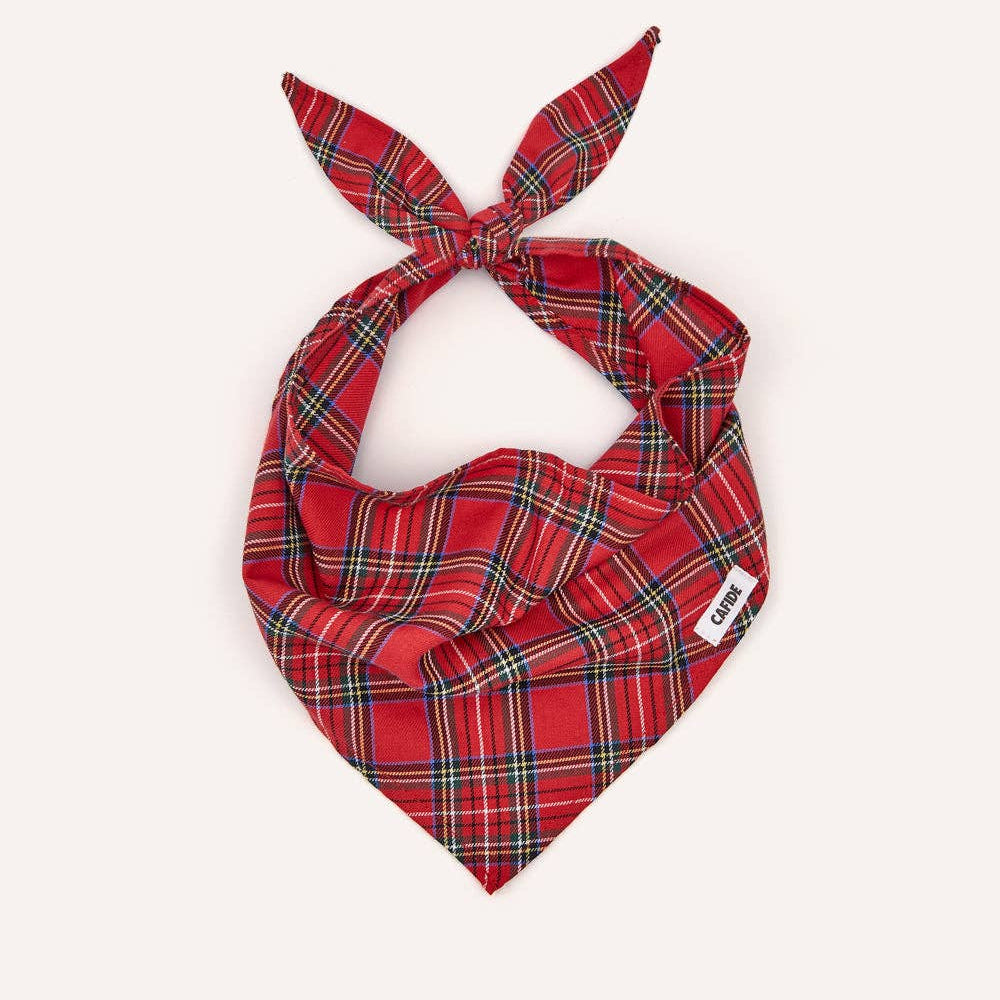 CAFIDE - Hundehalstuch „Royal Stewart Tartan“ – Nata - OSSO BLU