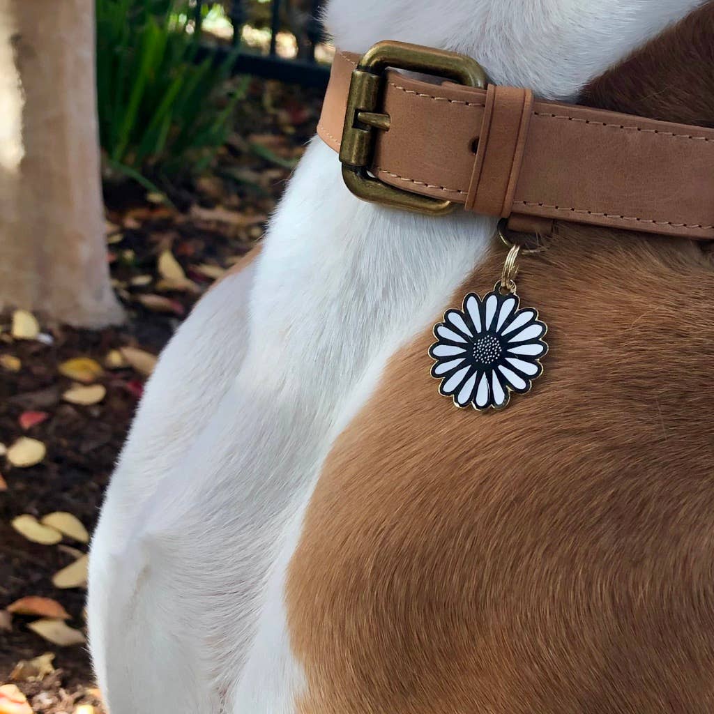 VORBESTELLUNG - Daisy Pet ID Tag - OSSO BLU