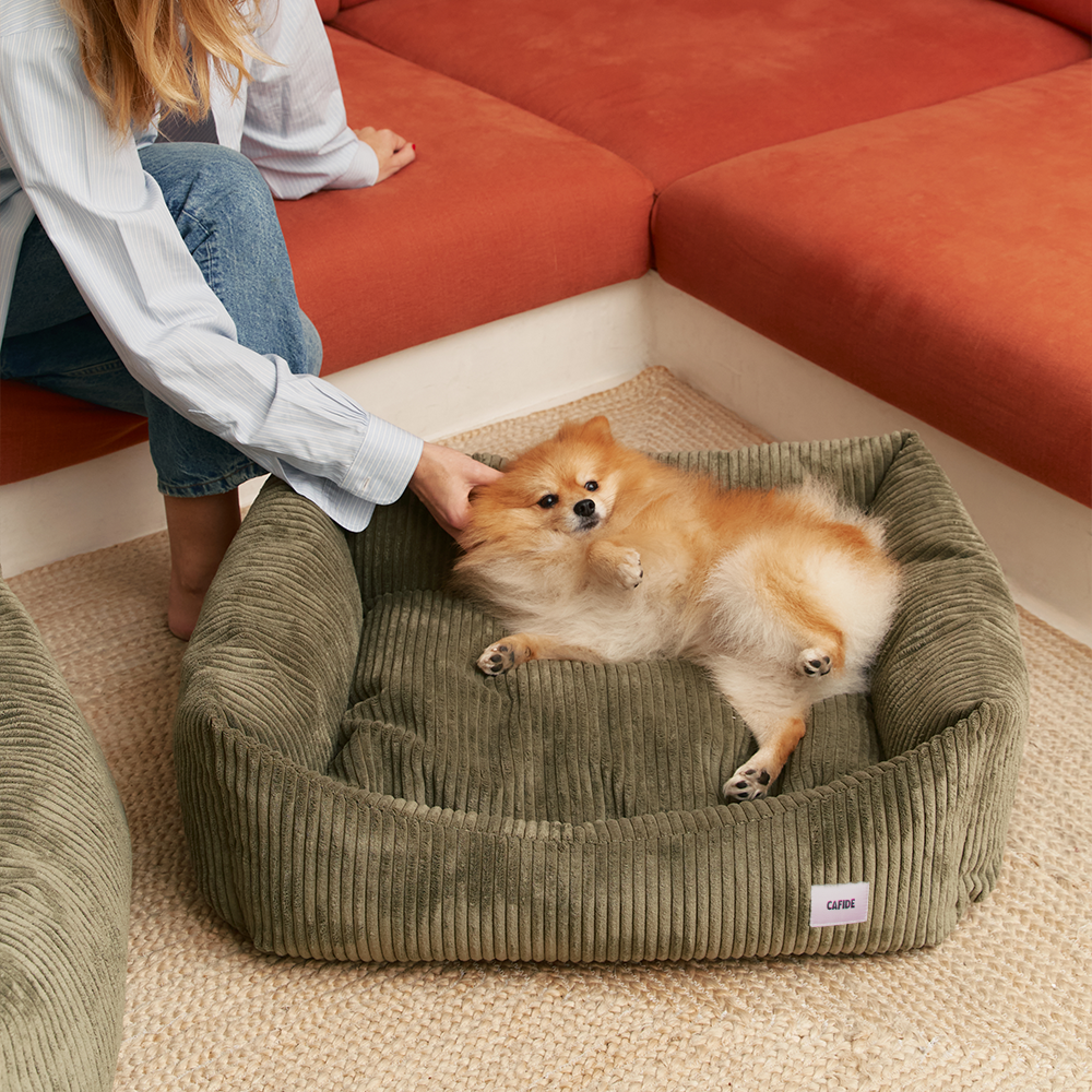 CAFIDE - Hundebett „Snozy“ – Cord