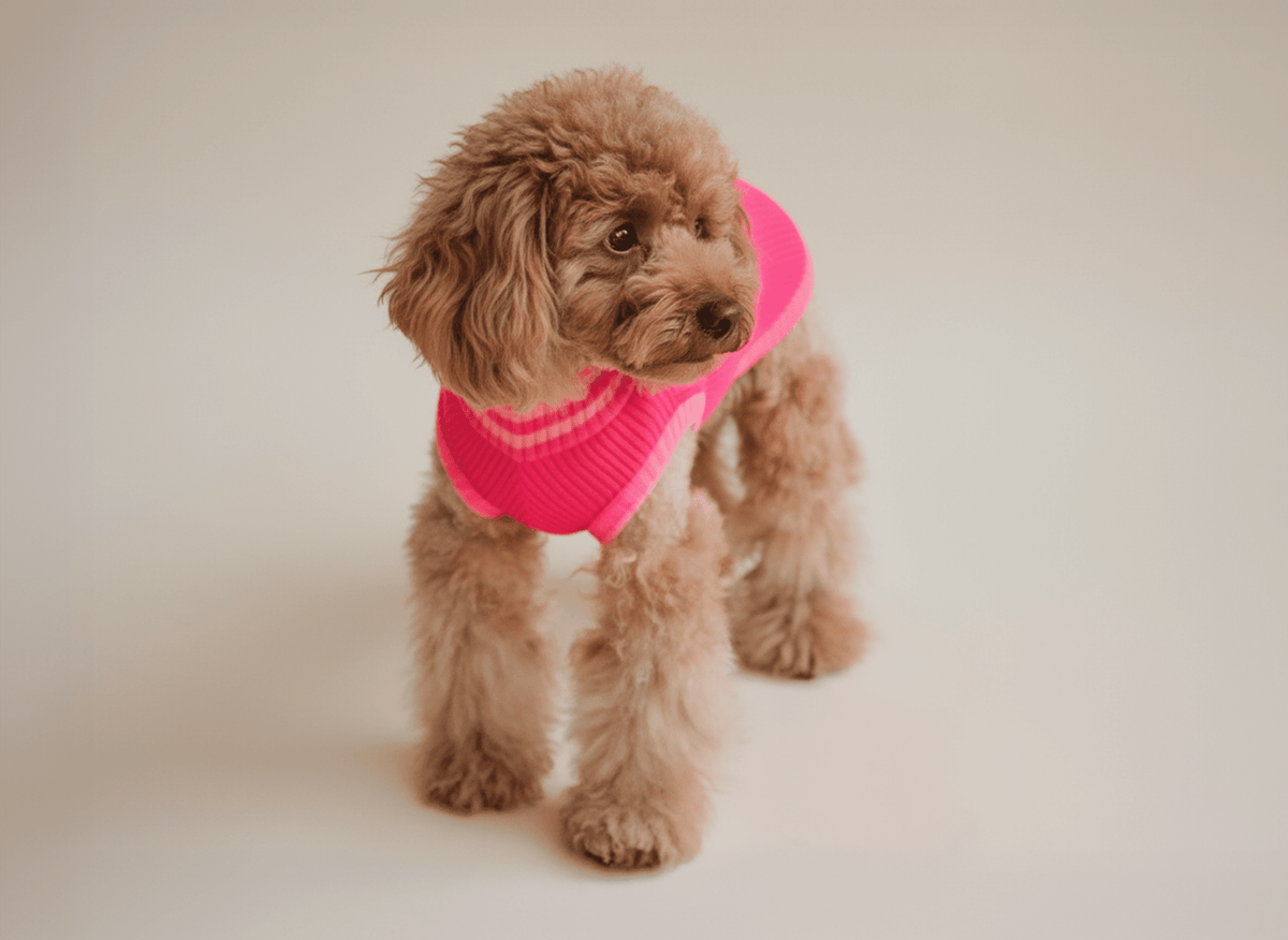LUMIIES – Glow Jumper 2.0 Hundepullover Pink Parade