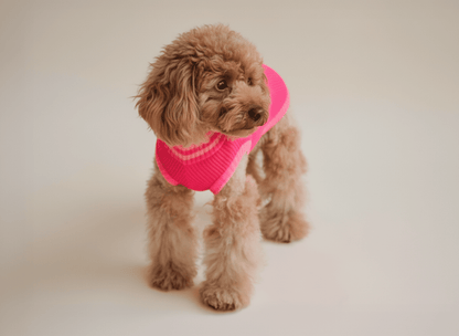 LUMIIES – Glow Jumper 2.0 Hundepullover Pink Parade