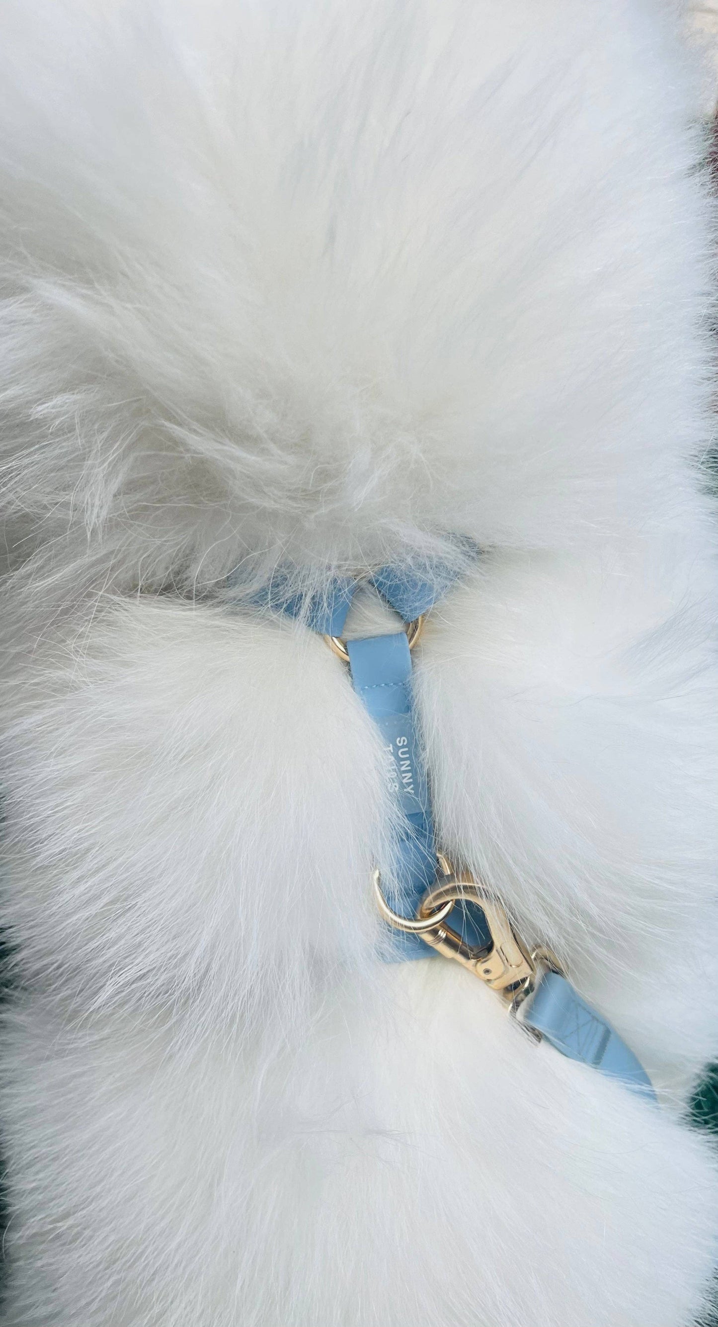 SUNNY TAILS - Malibu Blue Cloud Lite Dog Harness - OSSO BLU