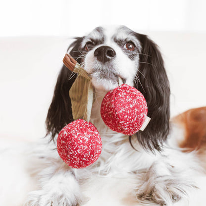 LAMBWOLF COLLECTIVE - CHERRY POP Bereichungsspielzeug für Hunde - OSSO BLU