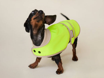 LUMIIES – Glow Raincoat Mini-Fit Hunderegenmantel Neongelb