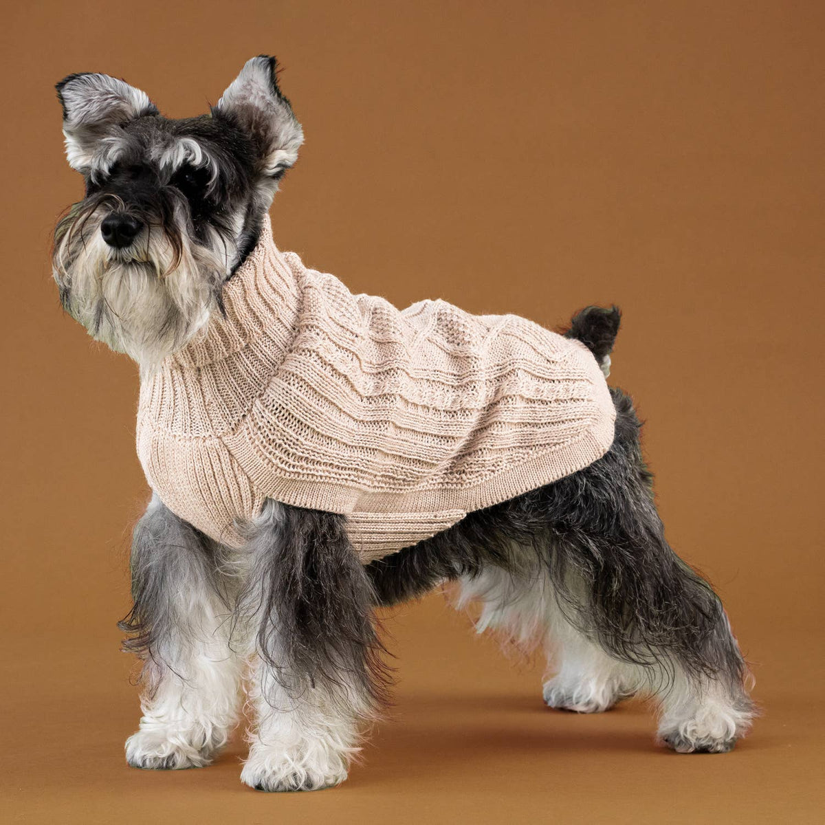 Alqo Wasi - Alqo Wasi Aran-Strick Alpaka-Hundepullover: XS / Ivory - OSSO BLU