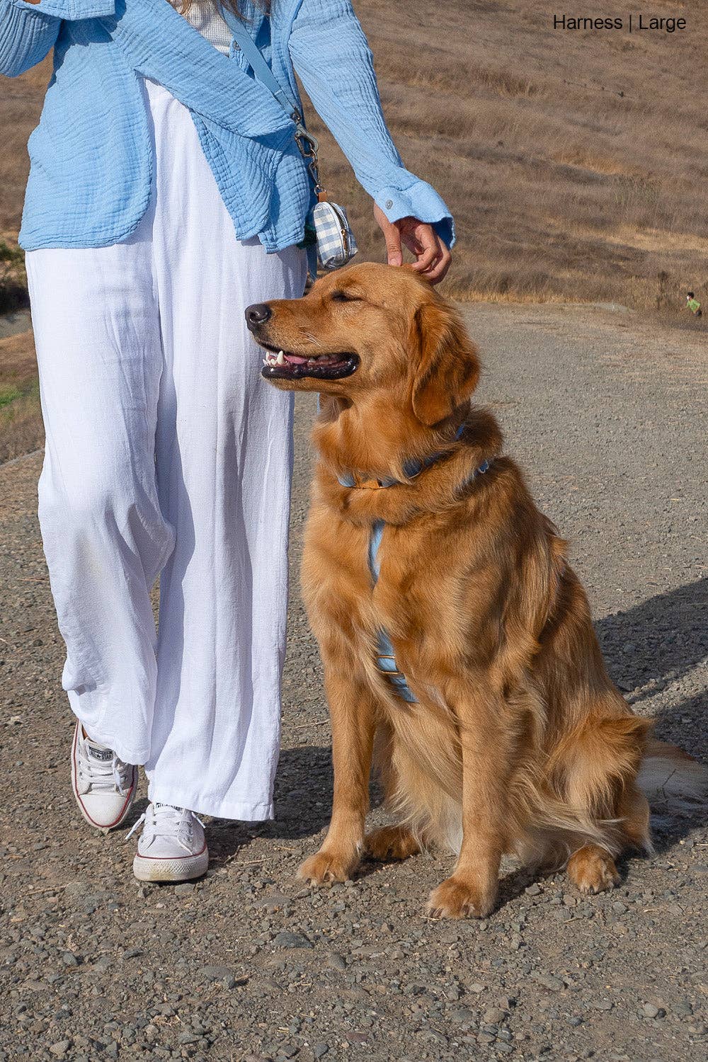 SUNNY TAILS - Malibu Blue Cloud Lite Dog Harness - OSSO BLU