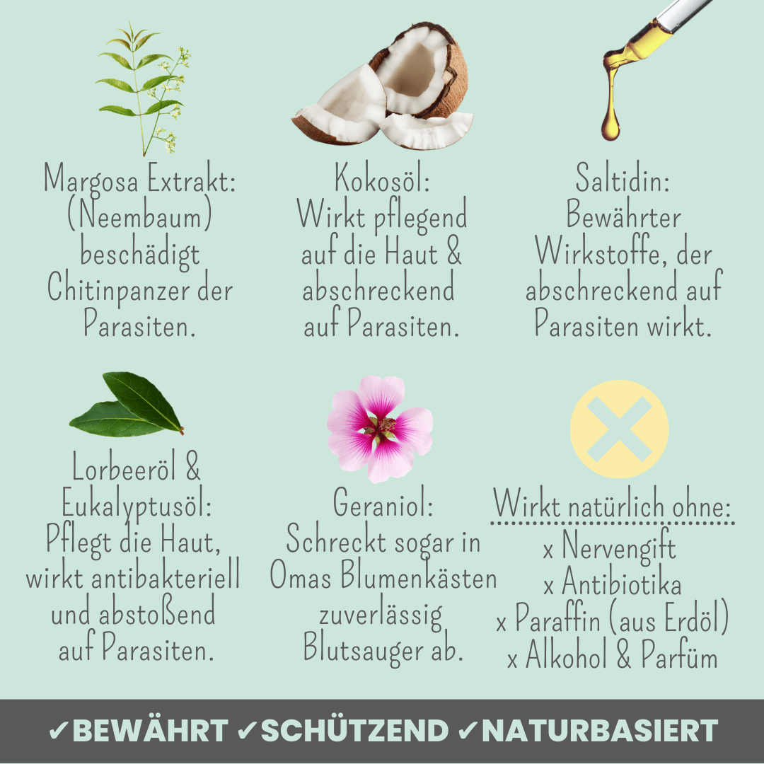 NOMS+ - Zpot-On für Hunde – Natürlicher Zeckenschutz gegen Zecken, Flöhe, Milben & Mücken - OSSO BLU