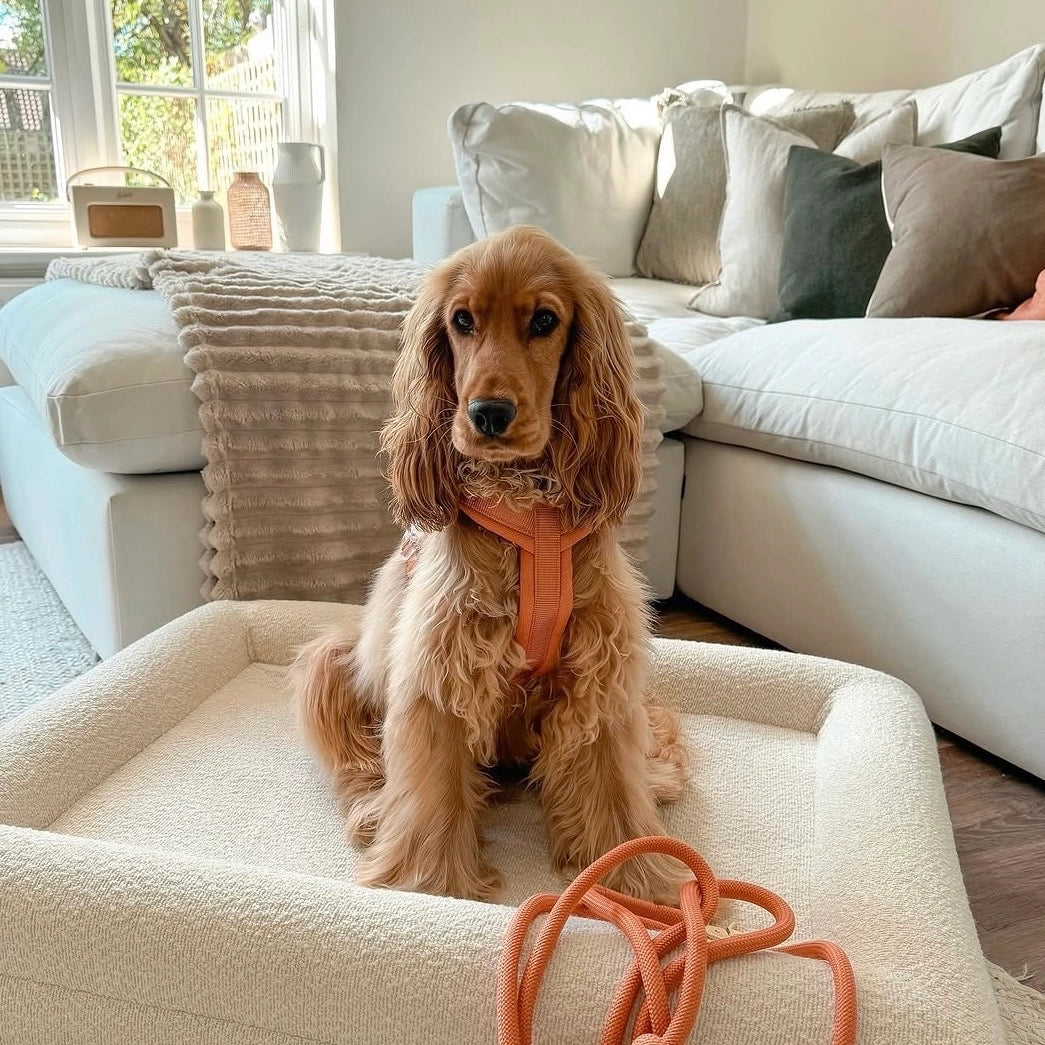 FURLOU – Comfort Hundegeschirr Terracotta - OSSO BLU