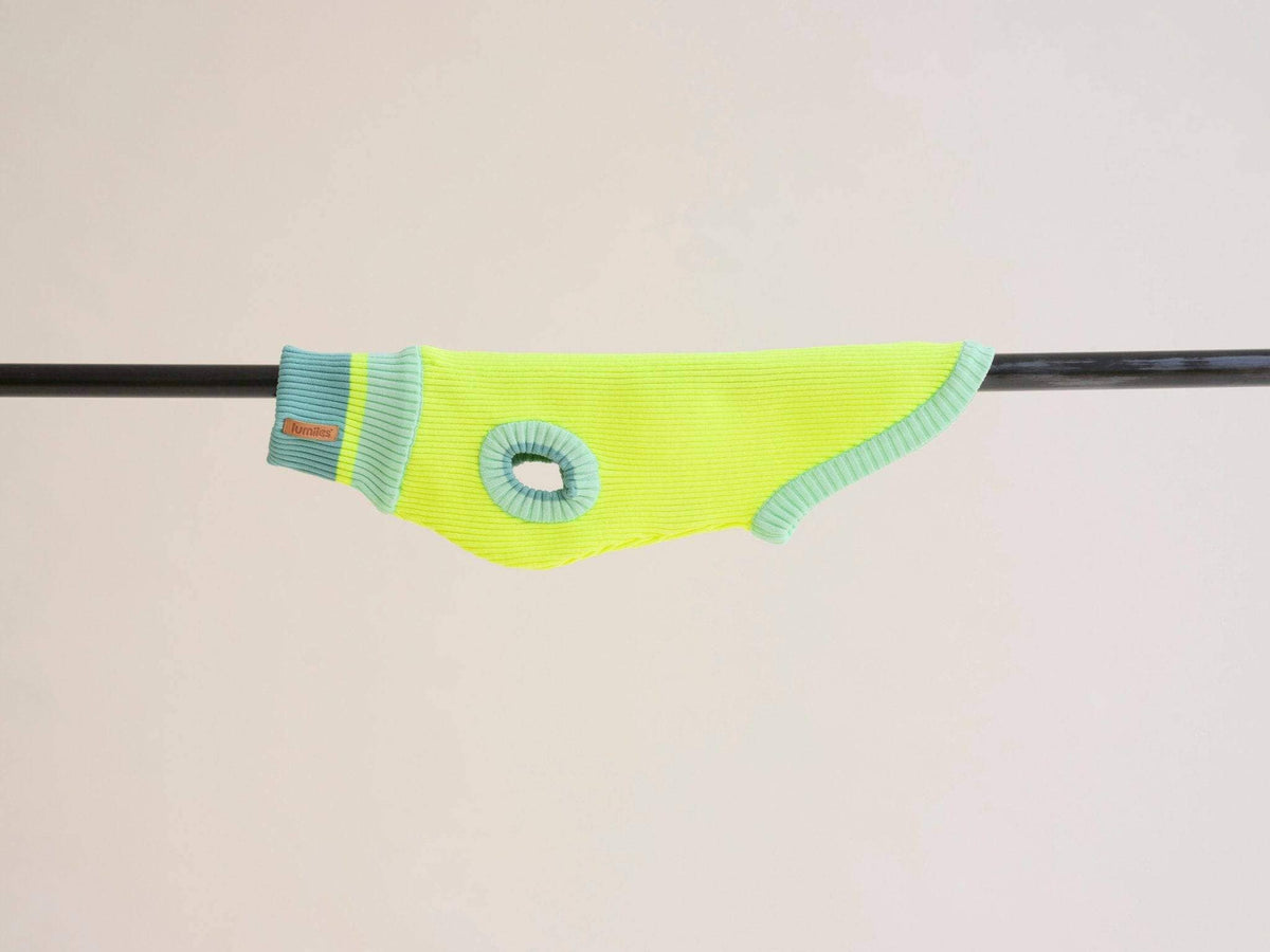 LUMIIES – Glow Jumper 2.0 Hundepullover Neon Matcha