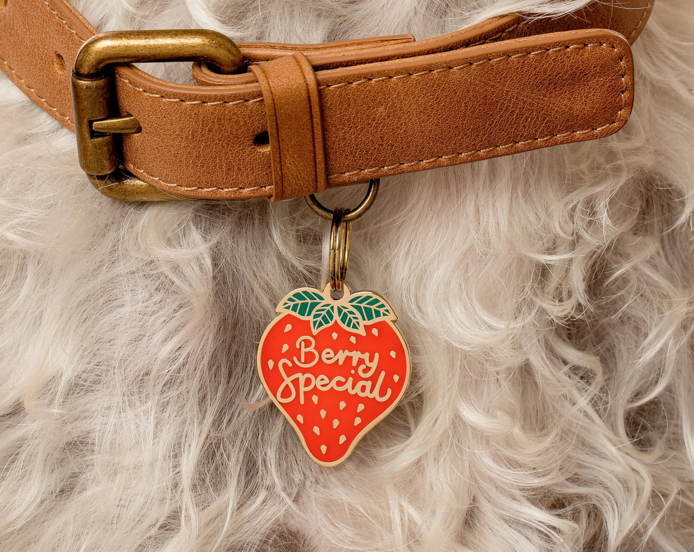 TWO TAILS PET COMPANY - Medaglietta identificativa "Berry Special"
