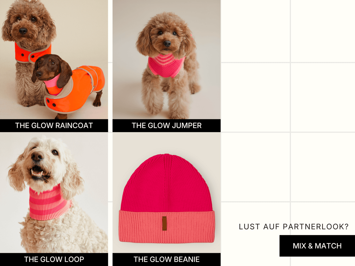LUMIIES – Glow Loop 2.0 Hundeschal Pink Parade