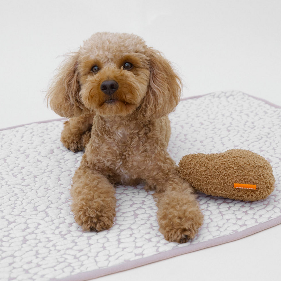 LUMIIES - THE STUDIO BLANKET – Ultraweiche Hundedecke | Cloudy Pebble - OSSO BLU
