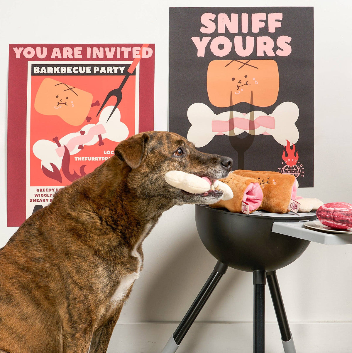 the furryfolks - Knochen Appétit Nasenarbeits-Spielzeug - OSSO BLU