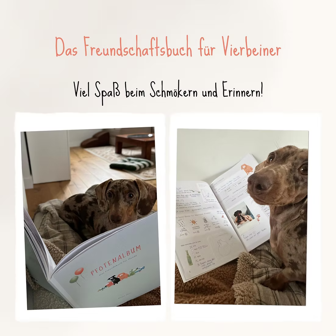 PFOTENALBUM – Das Freundschaftsbuch für Hunde - OSSO BLU