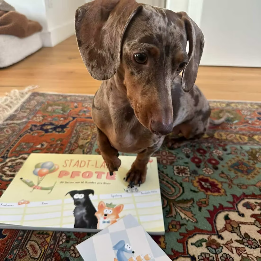 ALBUM DI ZAMPE – Blocco da gioco “Nomi, Cose, Città… a quattro zampe” per gli amanti dei cani