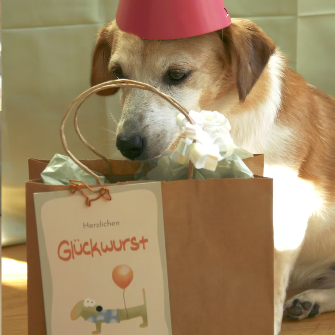 PFOTENALBUM – Biglietto d'auguri "Herzlichen Glückwurst"