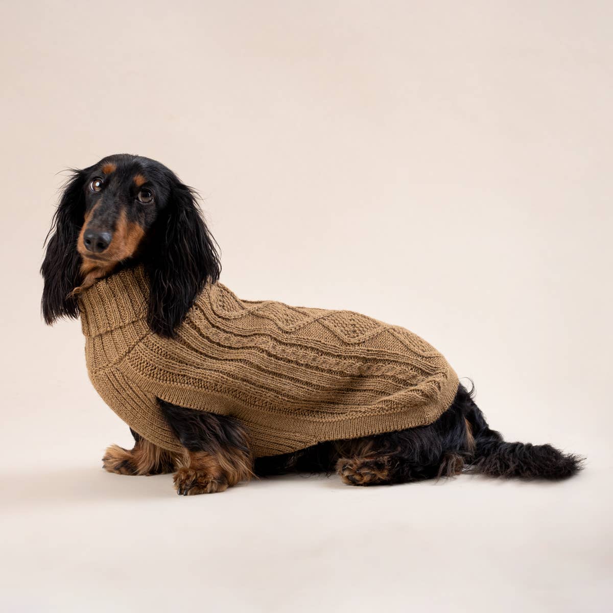 ALQO WASI – Aran Knit Alpaka-Hundepullover Camel