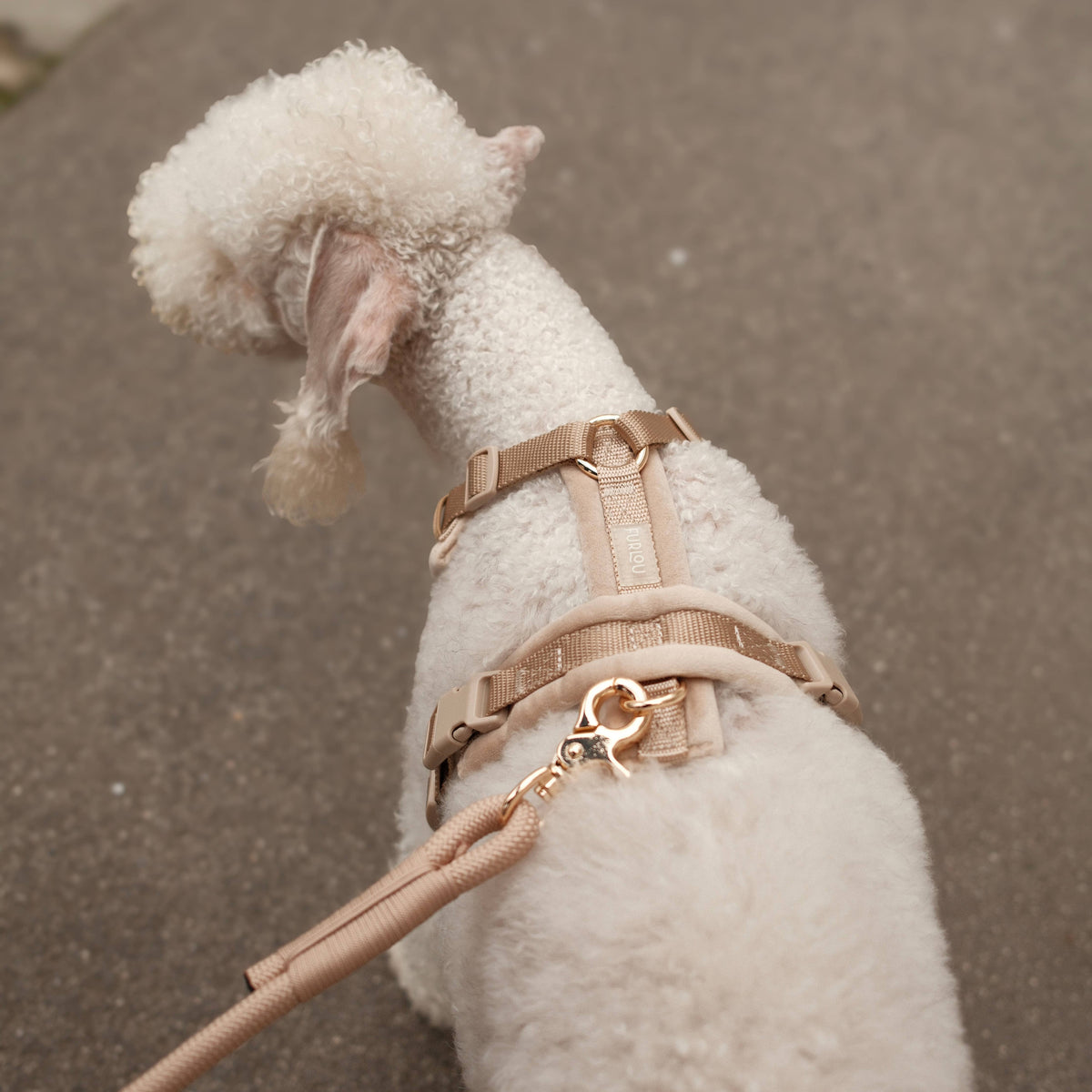 FURLOU – Samt Hundegeschirr Sand