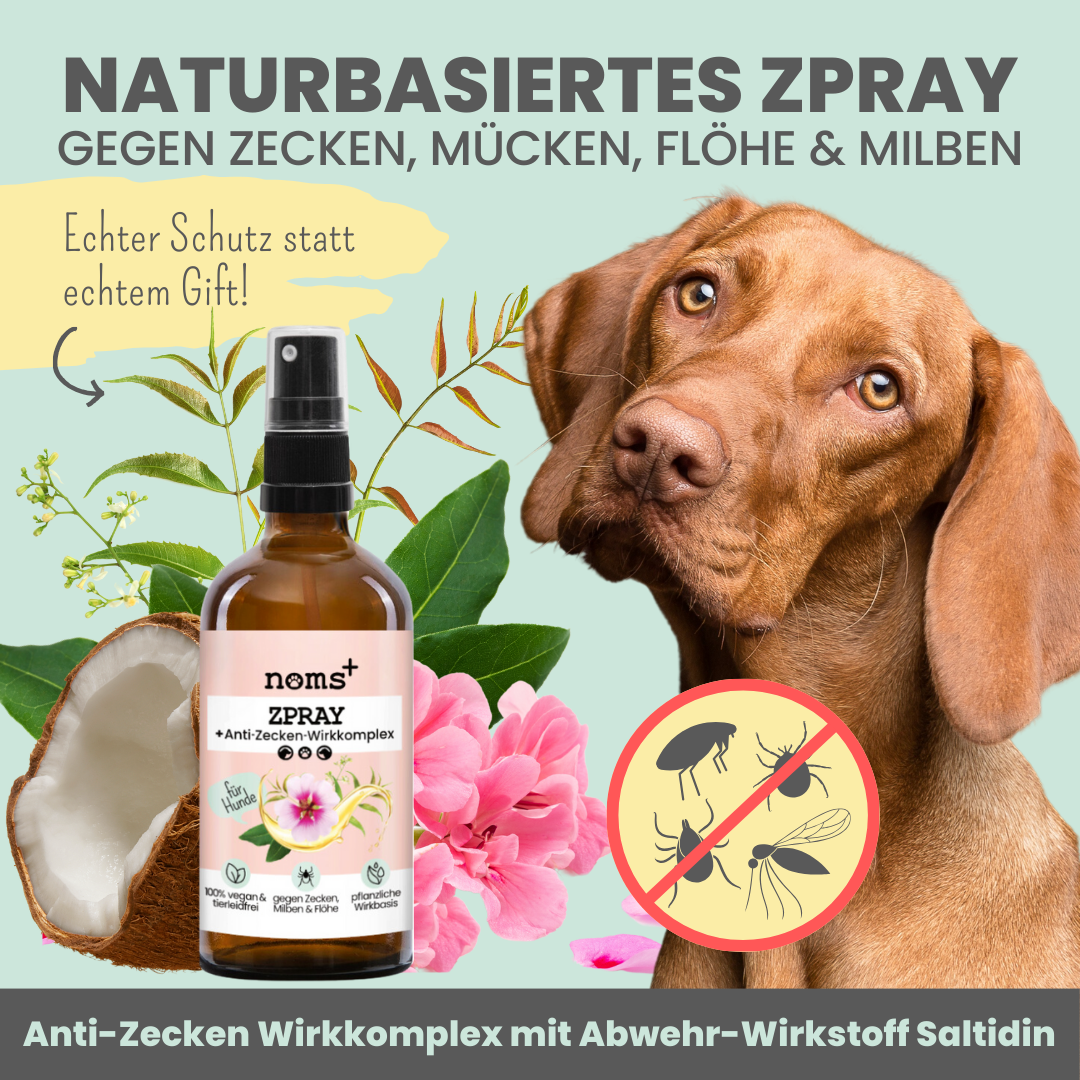 NOMS+ - Spray antizecche per cani – Protezione naturale contro zecche, pulci, acari e zanzare