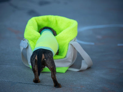 LUMIIES – Glow Jumper 2.0 Hundepullover Neon Matcha