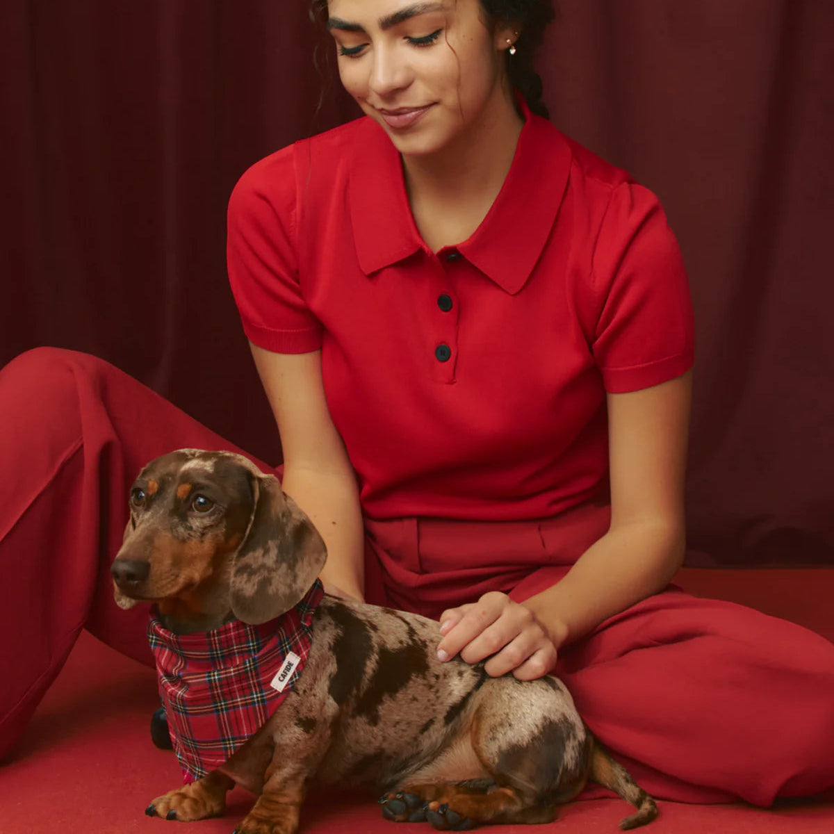 CAFIDE - Hundehalstuch „Royal Stewart Tartan“ – Nata - OSSO BLU