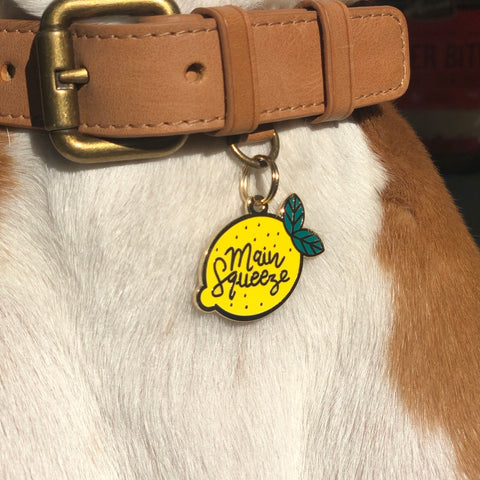 TWO TAILS PET COMPANY - Targhetta identificativa per animali domestici Main Squeeze