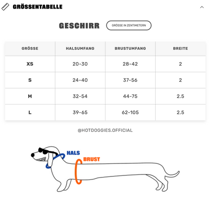 HOT DOGGIES - Geschirr „Rocky Electric“ - OSSO BLU