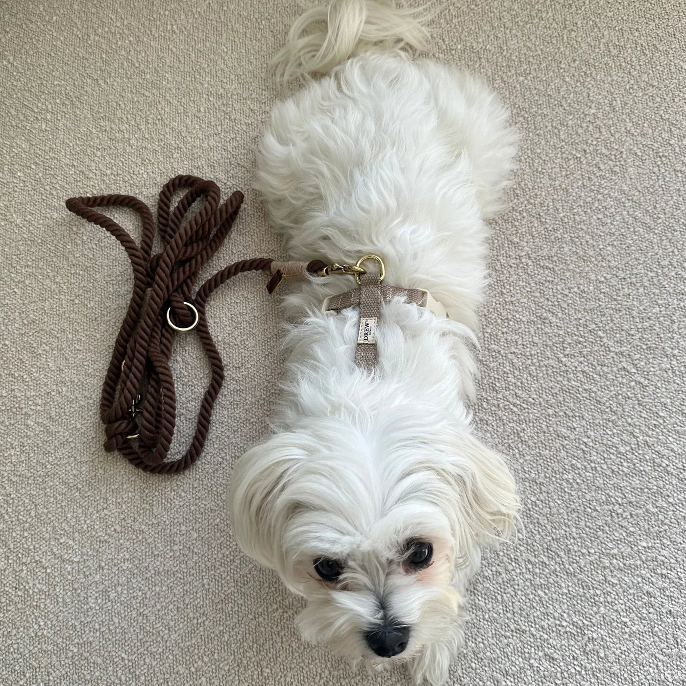 DREW'S DOGWEAR - MARRONE / Guinzaglio regolabile e morbido per cani