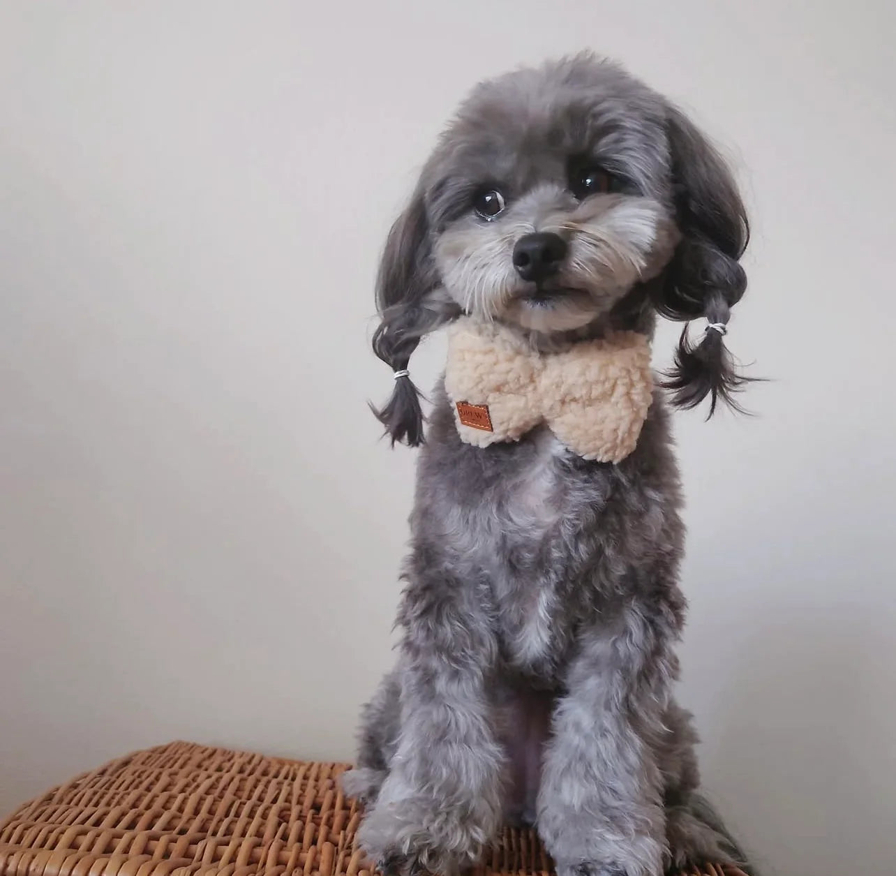DREW’S DOGWEAR - Teddy-Fliege fürs Hundehalsband – Beige
