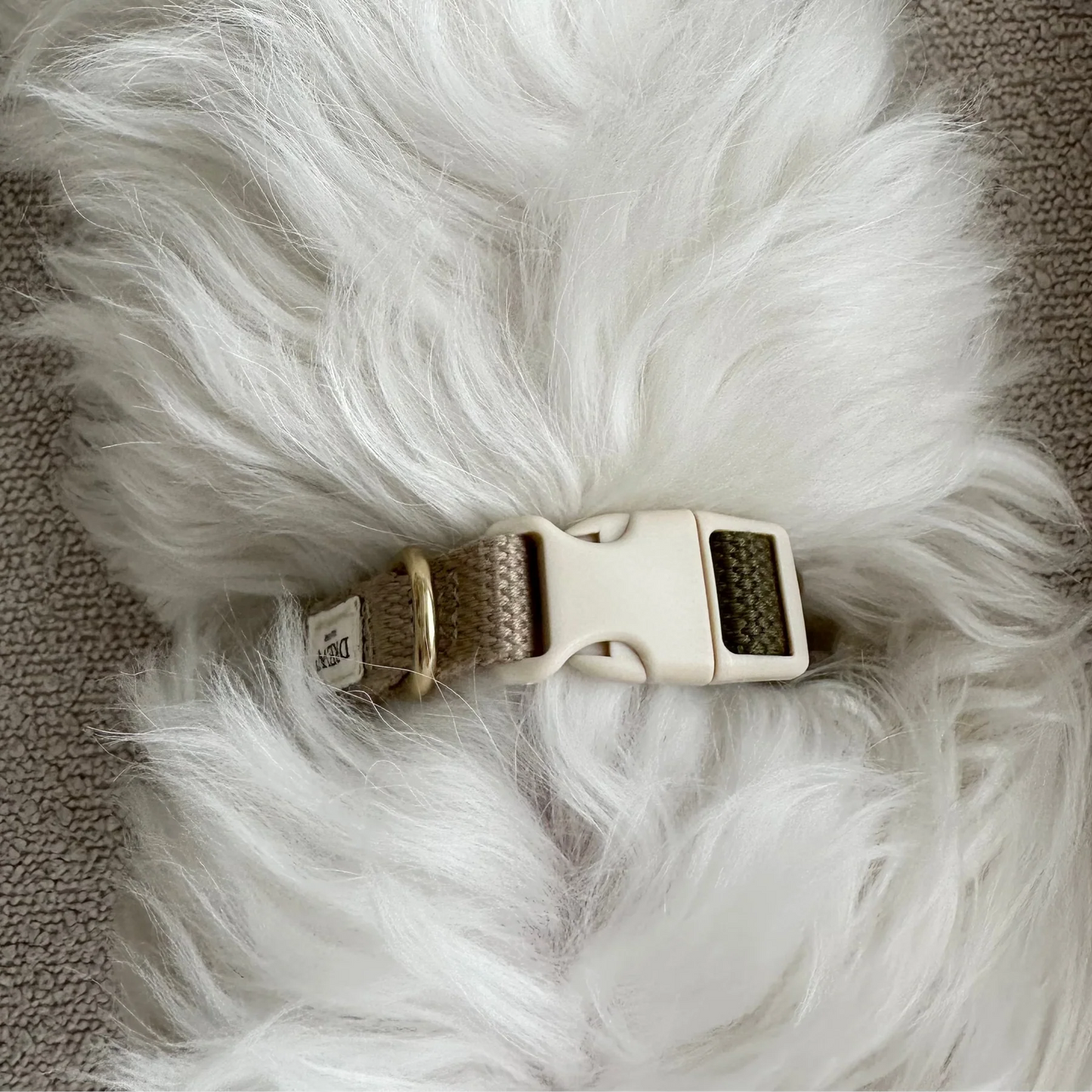 DREW'S DOGWEAR - Cortado / Hundehalsband - OSSO BLU