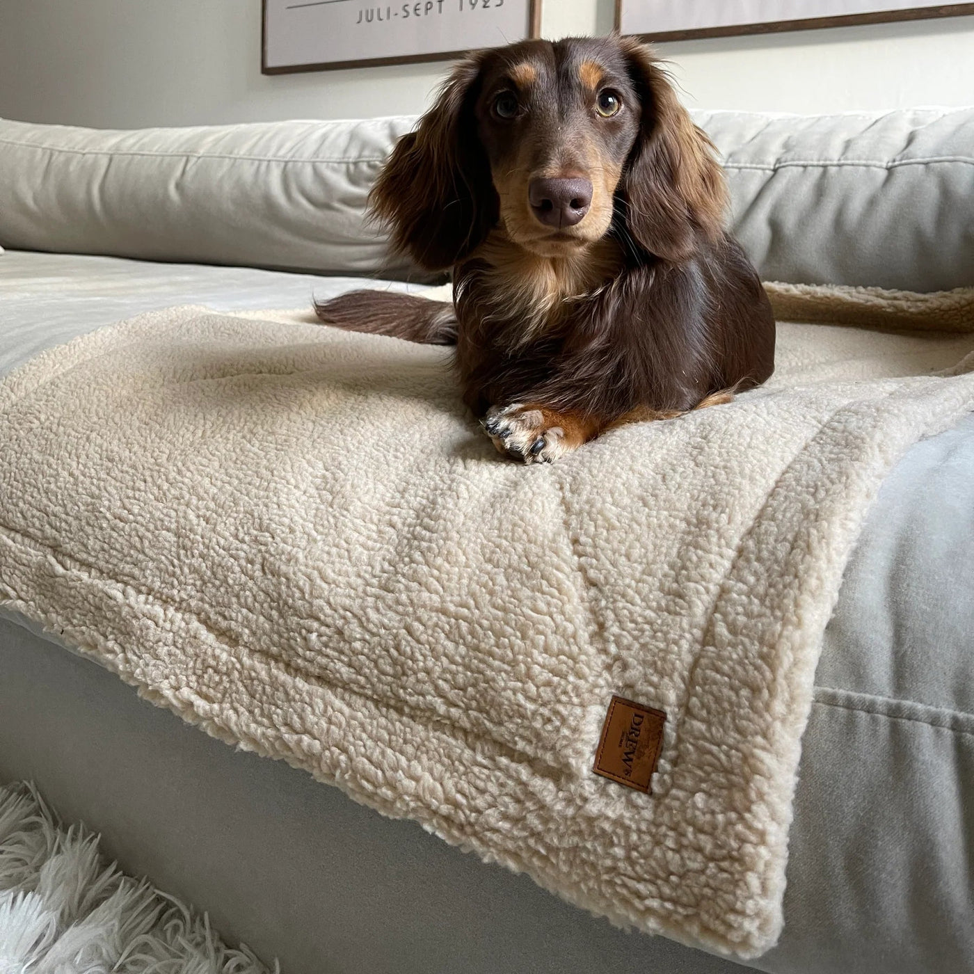 DREW'S DOGWEAR - Morbida coperta per cani in pile teddy (beige)