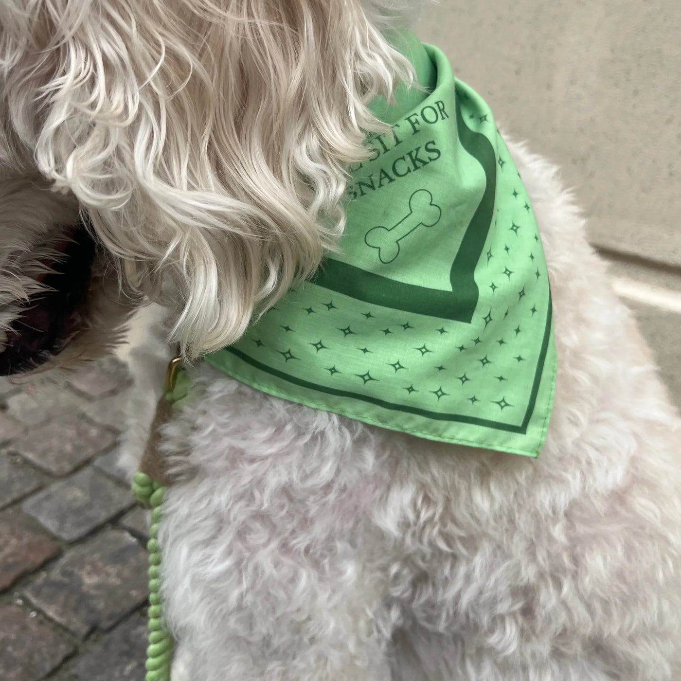 DREW'S DOGWEAR – LIME Bandana per Cani – Elegante foulard per cani