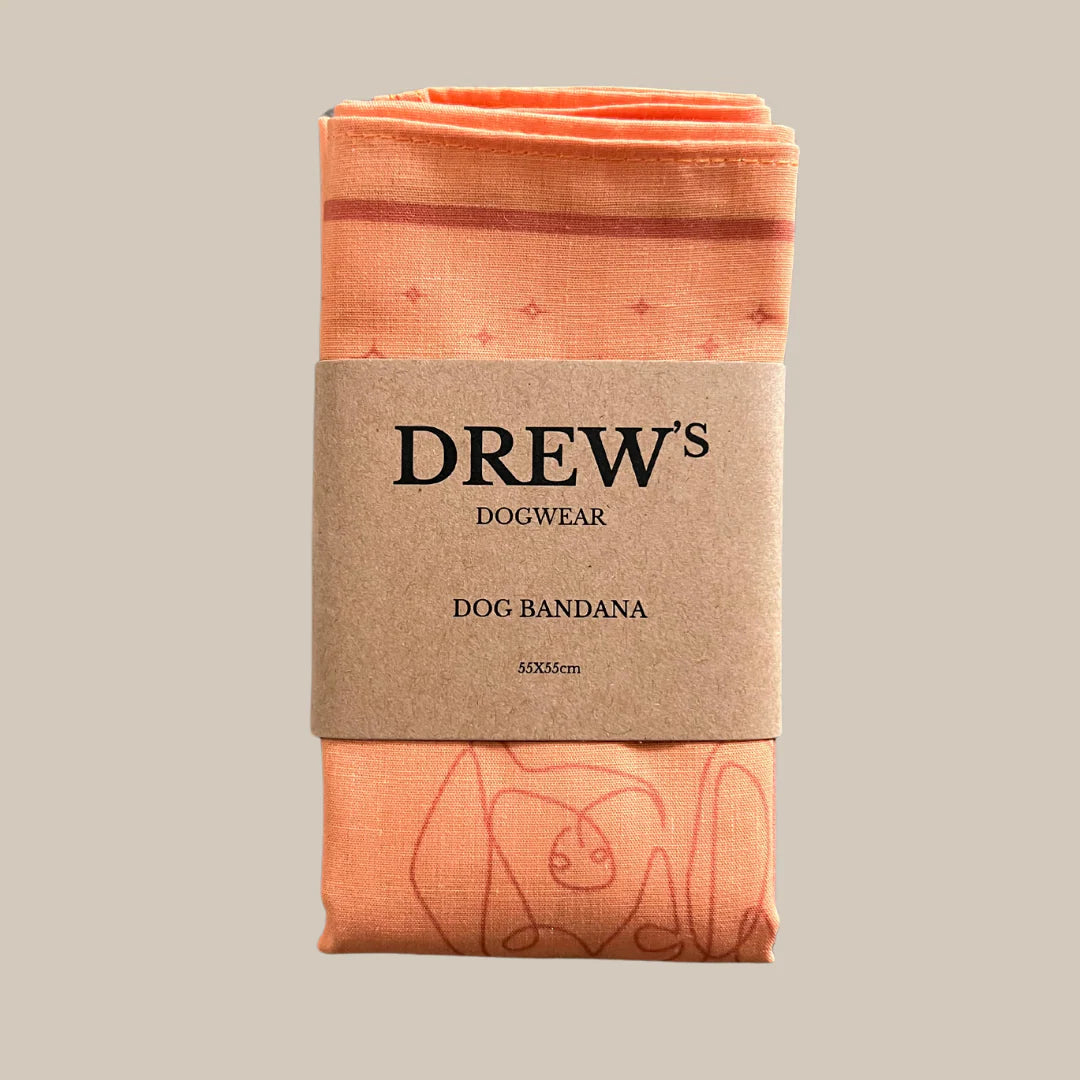 DREW'S DOGWEAR – PEACH Bandana per Cani – Elegante Foulard per Cani